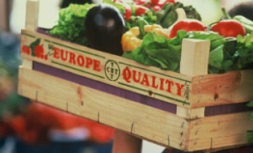 EU Agri-food Exports Remain Higher than Previous Years