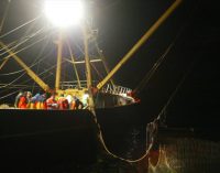 Positive Economic Trends For EU Fishing Fleet