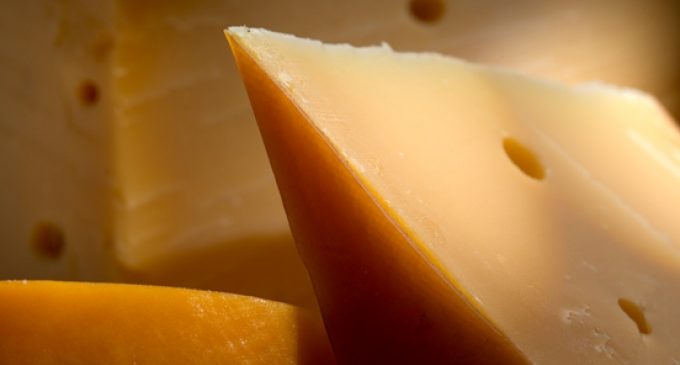 FrieslandCampina Restructures Cheese Packaging Activities