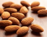 Almonds Ranked the Number 1 Nut in New Product Introductions For Fifth Consecutive Year