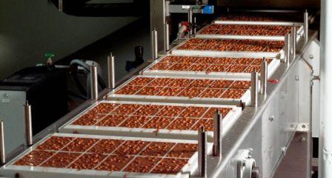 Sales and Profits Continue to Rise at Lindt & Sprüngli Group