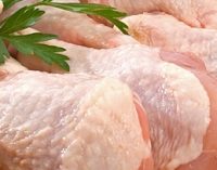 UK Campylobacter Levels Remain Steady