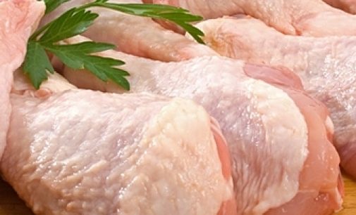 UK Campylobacter Levels Remain Steady