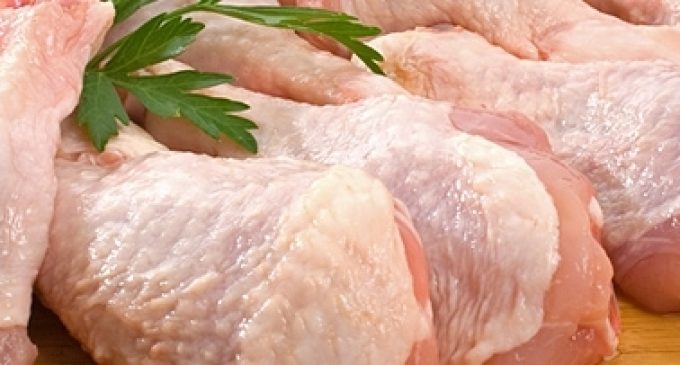 UK Campylobacter Levels Remain Steady