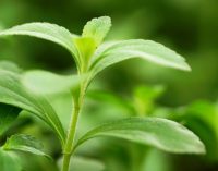 8th World Convention on Stevia – June 4-5, 2018 – Berlin