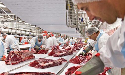 ‘Crisis’ – New Report Shows Brexit Impact on Europe’s Meat Industry