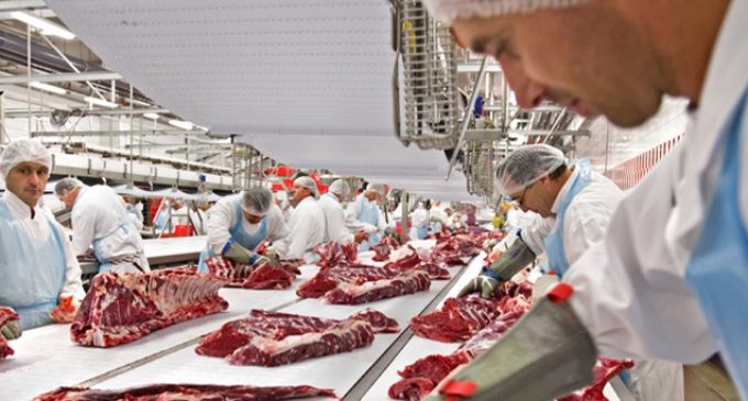 ‘Crisis’ – New Report Shows Brexit Impact on Europe’s Meat Industry