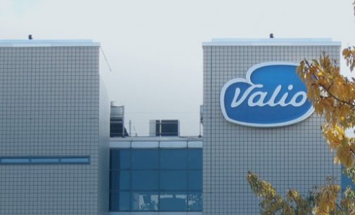 Valio Establishes New Business Units in China