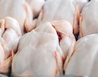 Cherkizovo Group to Export Poultry Products to Iraq
