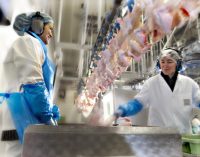 HKScan Launches Exports of Finnish Poultry Products to Sweden