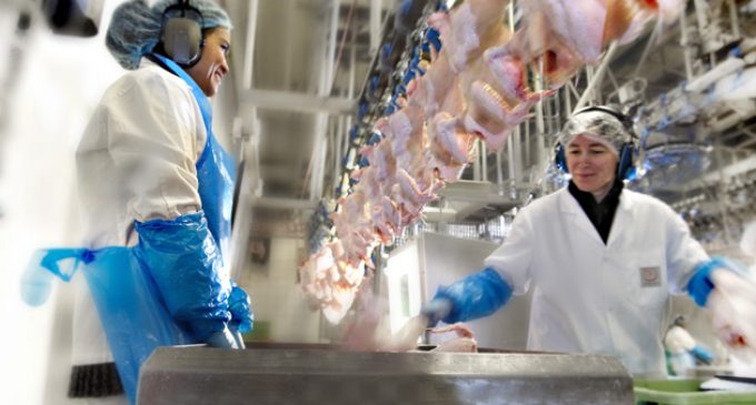HKScan Opens New €80 Million Poultry Plant
