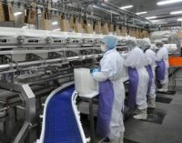 Cherkizovo Group Plans Poultry and Pork Expansion in Russia