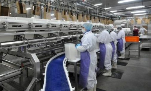 Cherkizovo Group Plans Poultry and Pork Expansion in Russia