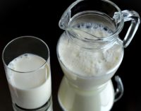 A Focus on Premiumisation in the UK Milk Market