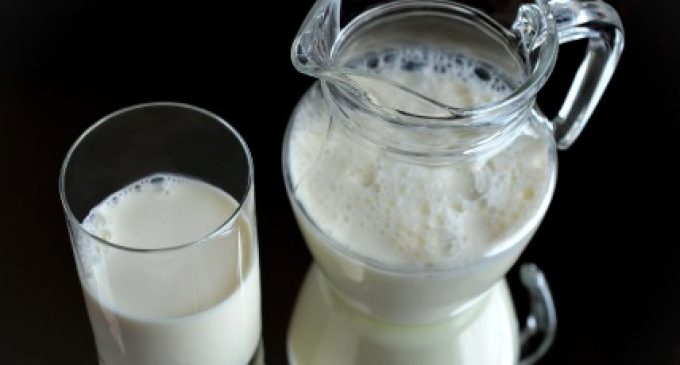 A Focus on Premiumisation in the UK Milk Market