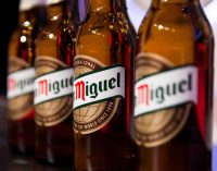 Record Results For Mahou San Miguel