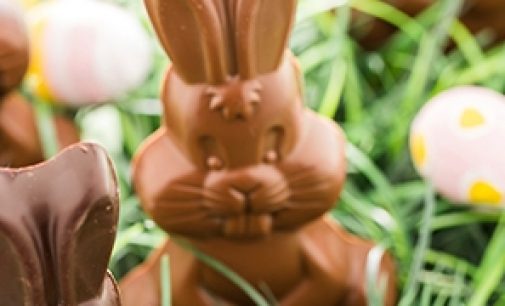 Global Easter Chocolate Launches Up 23% on 2017