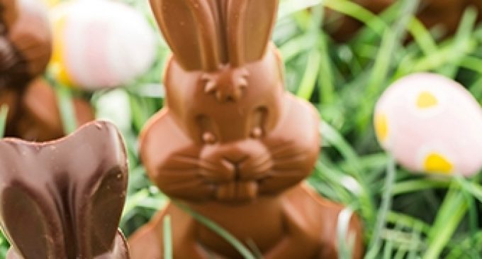 Global Easter Chocolate Launches Up 23% on 2017