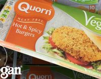 Quorn Foods Achieves 16% Global Growth in 2017