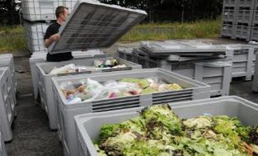 Cutting Food Waste in the EU
