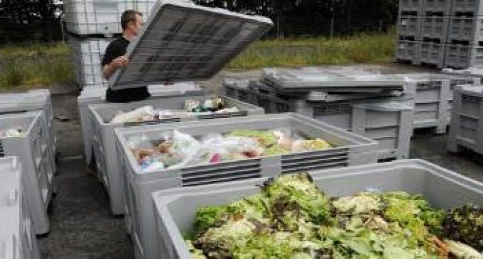 European Commission Adopts Common Methodology to Measure Food Waste Across the EU