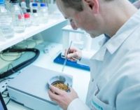 Bühler to Build First Industrial-scale Insect Processing Plant in Europe