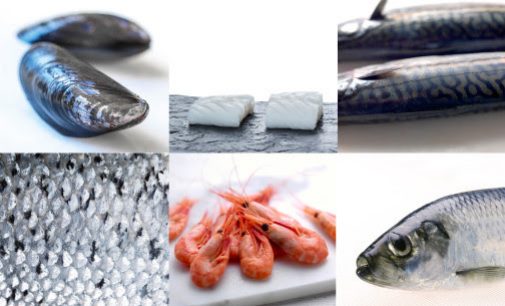 Norwegian Seafood Exports Grow by 13% in May