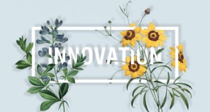 Innovators of Natural Flavour Launch New SigNATURE® Range