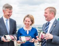 Slaney Foods to Supply Certified Irish Hereford Beef to Lidl in the US