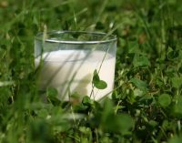 Arla Foods Builds on Success of Organic Milk Launch