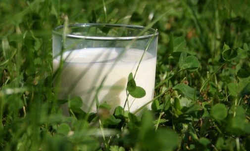 Arla Foods Builds on Success of Organic Milk Launch