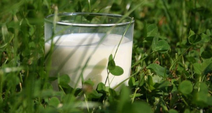 Arla Foods Builds on Success of Organic Milk Launch