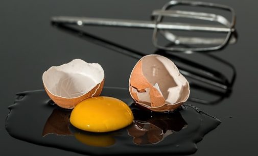 Egg replacing starch can cut recipe cost by 15%
