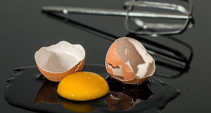 Egg replacing starch can cut recipe cost by 15%