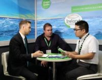 Bord Bia Leads First Irish Presence at Japan International Seafood & Technology Expo