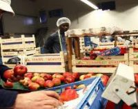 Towards a Fairer Food Supply Chain – European Commission Asks For Input