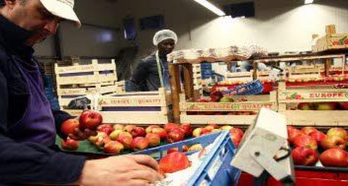 Towards a Fairer Food Supply Chain – European Commission Asks For Input