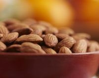 Almonds still the most used nut in product introductions across Europe