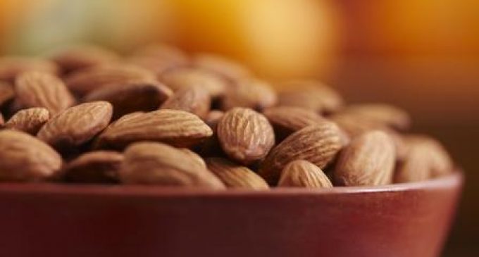 Almonds still the most used nut in product introductions across Europe