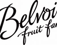 Belvoir’s Bubbling With Joy This Christmas