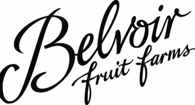 Belvoir’s Bubbling With Joy This Christmas