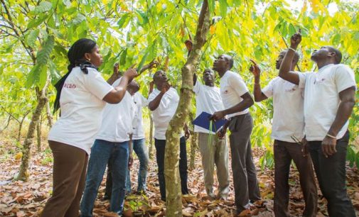 Cargill Sets Clear Course For Cocoa Sustainability