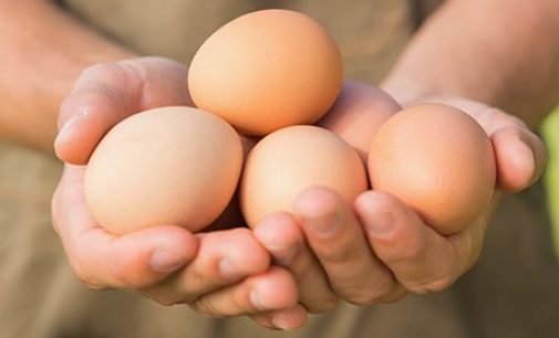 Nestlé to Source Only Cage-free eggs by 2025