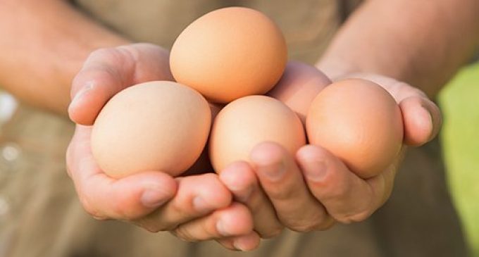 Nestlé to Source Only Cage-free eggs by 2025