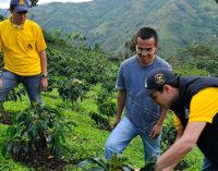 Nespresso to Invest in Post-conflict Colombian Coffee