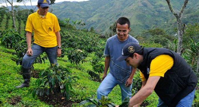 Nespresso to Invest in Post-conflict Colombian Coffee