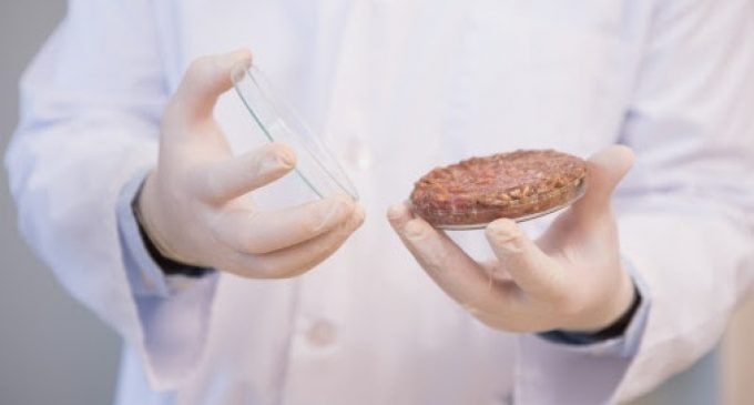Nearly One in Three Consumers Willing to Eat Lab-grown Meat