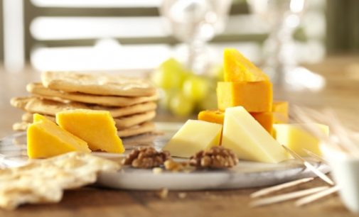 DSM Introduces DelvoADD Portfolio of Adjuncts For Aged Cheddar Cheese