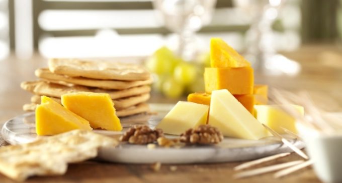 DSM Introduces DelvoADD Portfolio of Adjuncts For Aged Cheddar Cheese