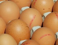 What Eggs Can Teach Us About Traceability